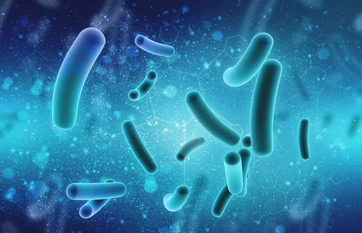 mysterious-microbes-web-graphic.jpg