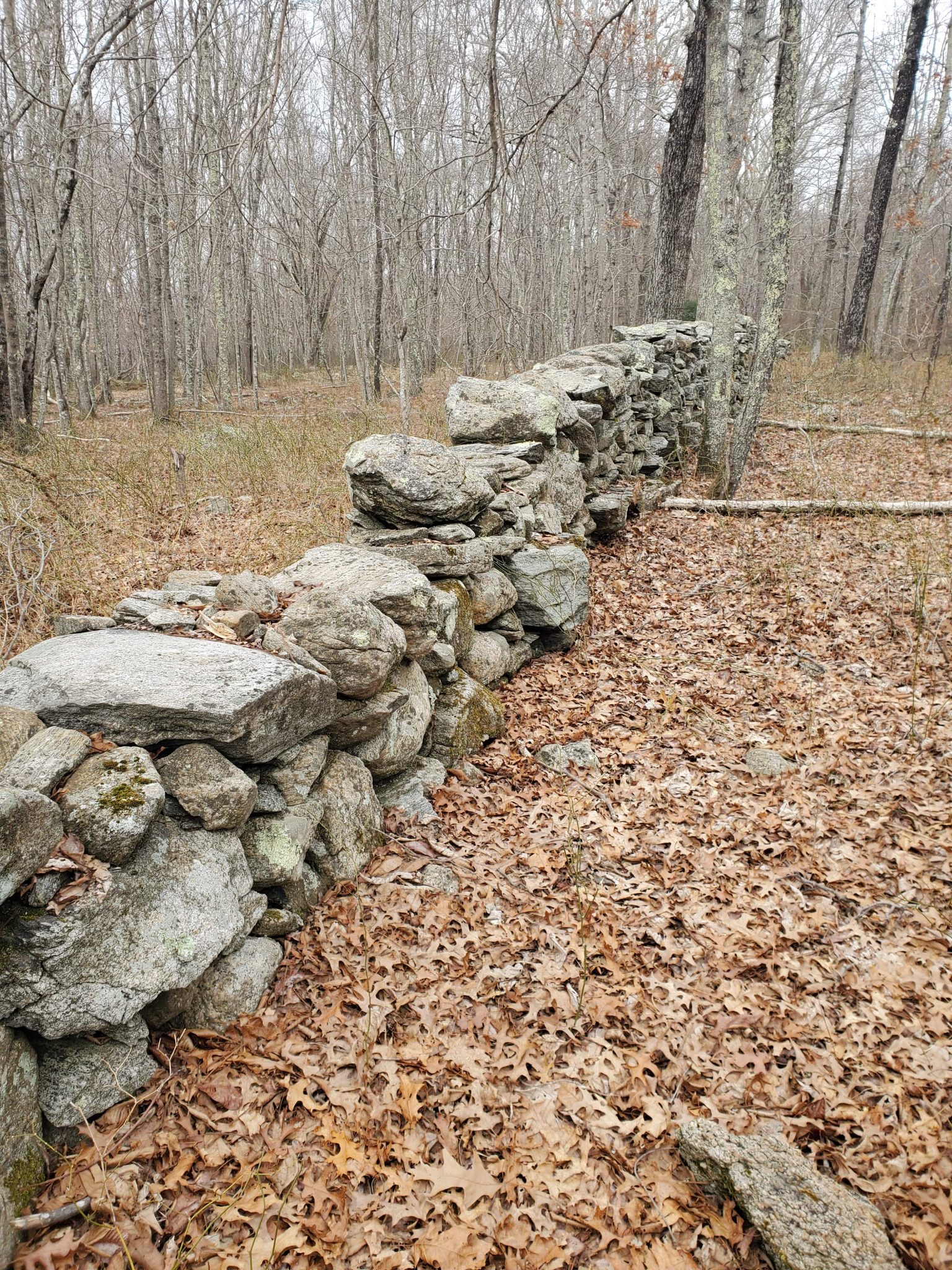 20210314_152117-min-1536x2048.jpg